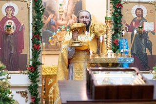 22 декабря — праздник иконы Божией Матери «Нечаянная Радость»